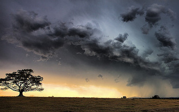 a field and trees in Africa